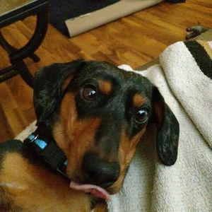 Meet your Posher, Jaylen